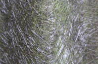 Flagg fibreglass roof work