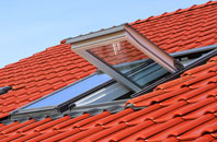 Flagg roof window